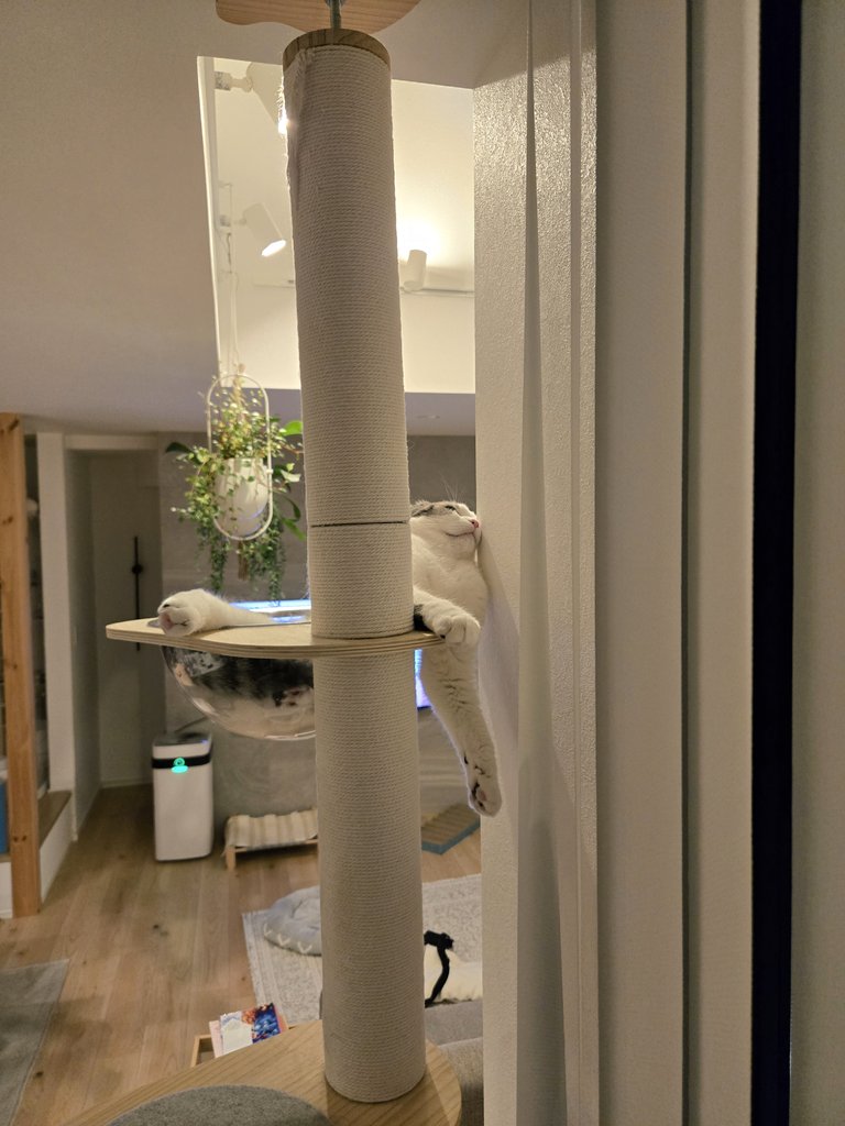 出所：@sera230813