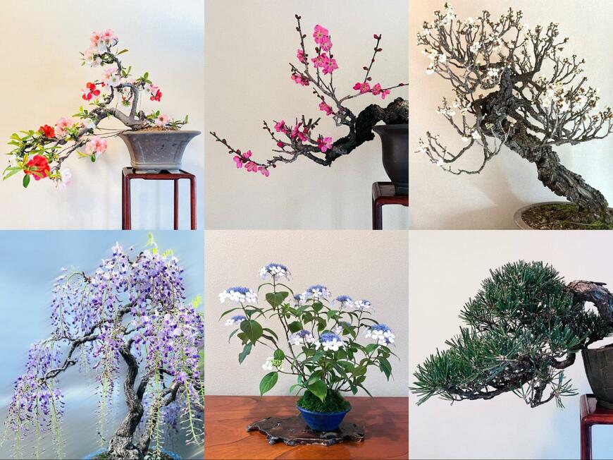 出所：@zeitaku_tanuki