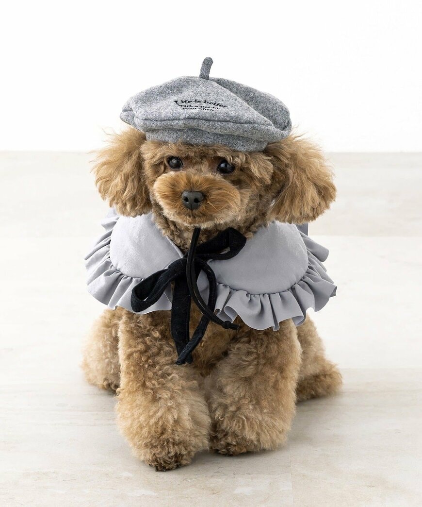 出所：パルグループ公式ファッション通販サイト 3COINS ベレー帽