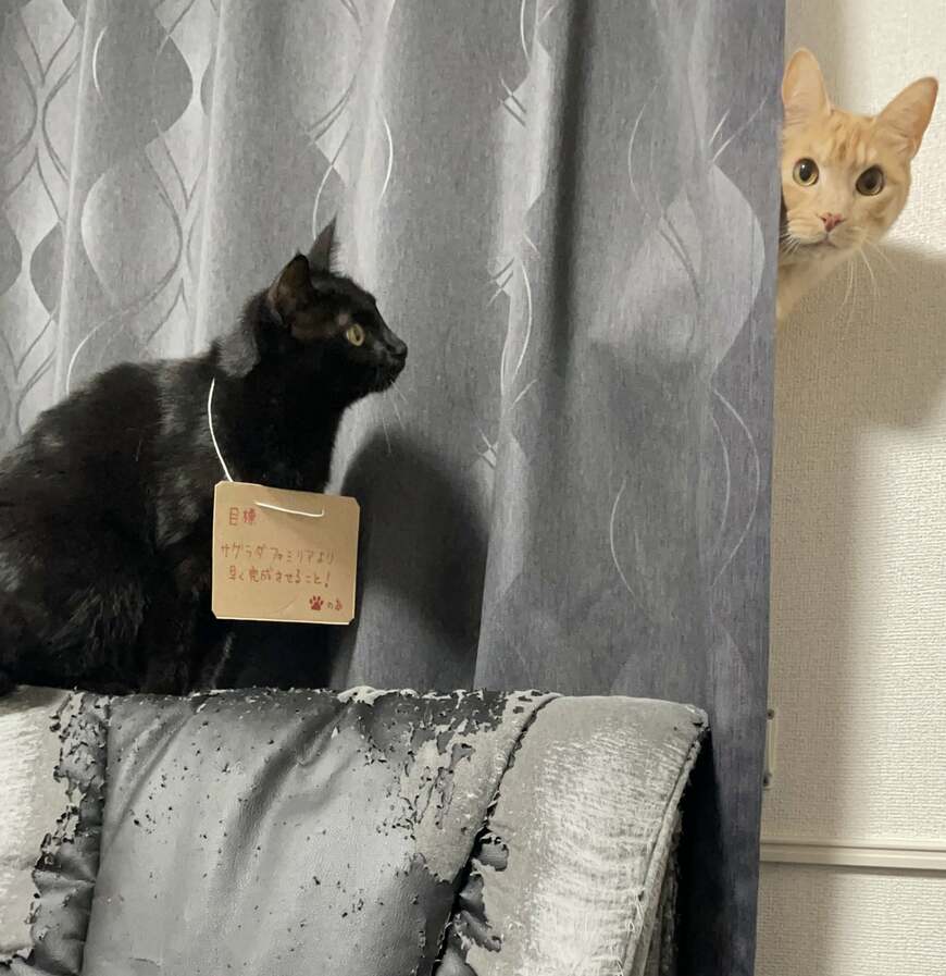 出所：@Teagle_Noir