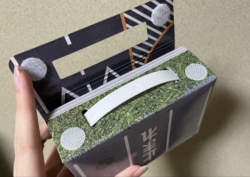 筆者撮影（セリア、おでかけミニカーケース）