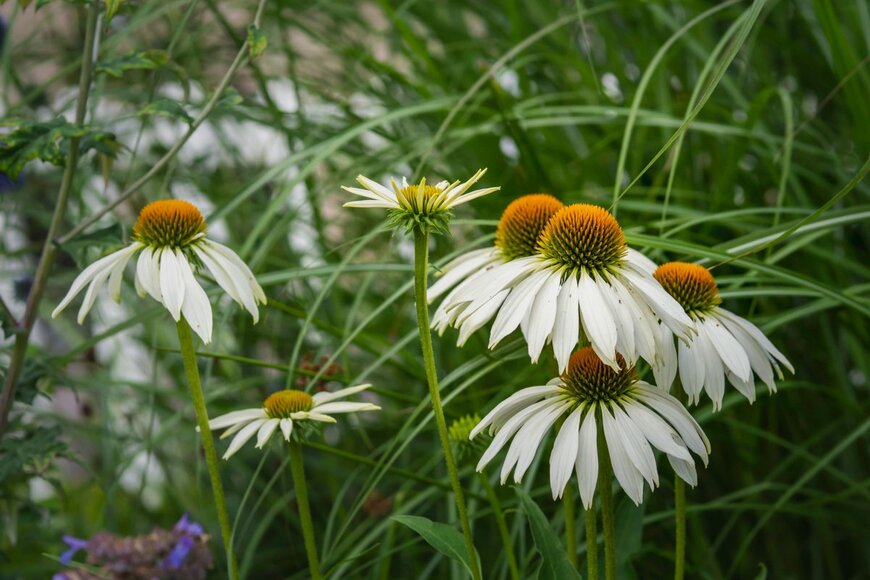 mcajan/shutterstock.com