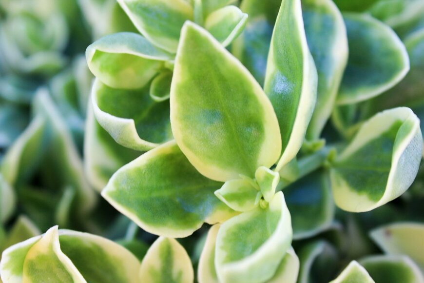 KT Sutherland/Shutterstock.com