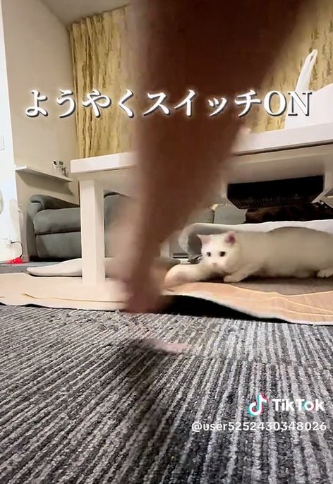 出所：@user5252430348026