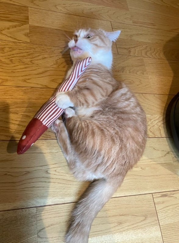 出所：@kotaro_0315