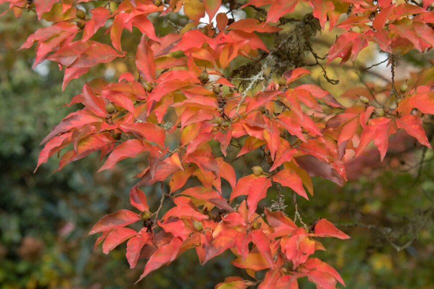 Peter Turner Photography/shutterstock.com