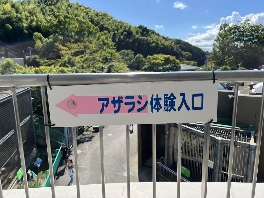 【静岡】日本平動物園のアザラシ体験が話題に！「なんて斬新」「すごくリアル」との声が続出