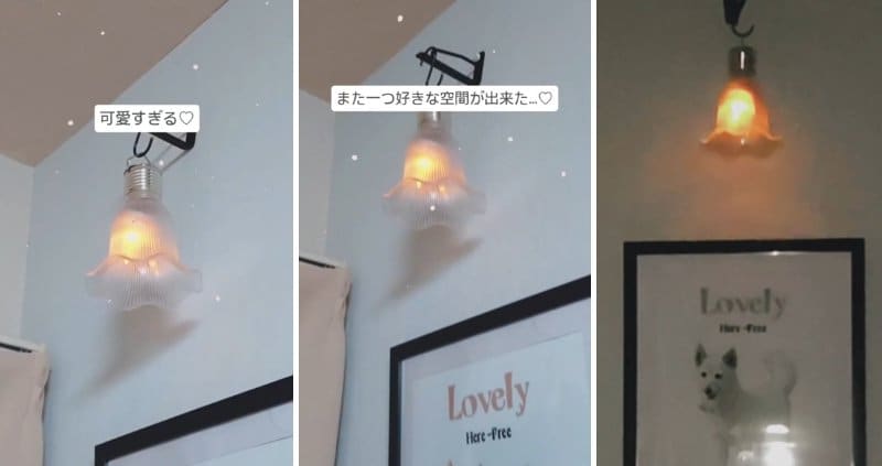 投稿の画像