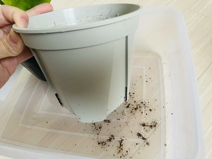 セリア「スリット鉢130mm」「ココナッツファイバー」