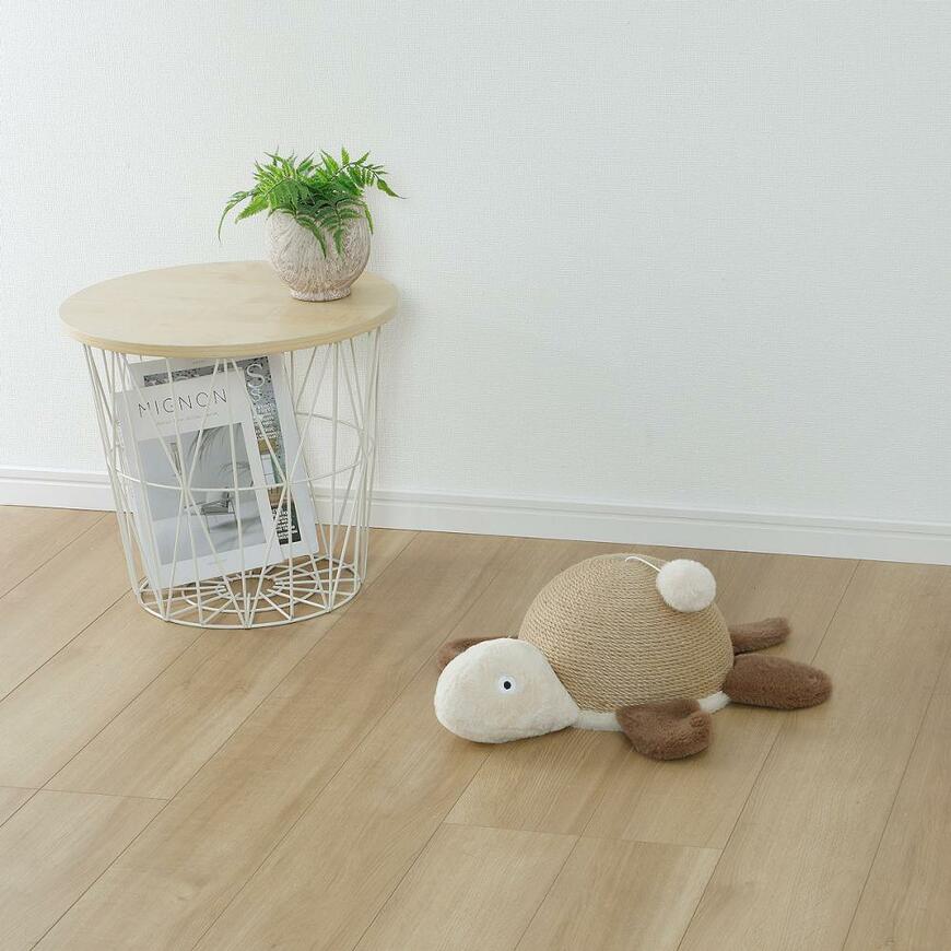 部屋の床に置いたカメ形の爪とぎ