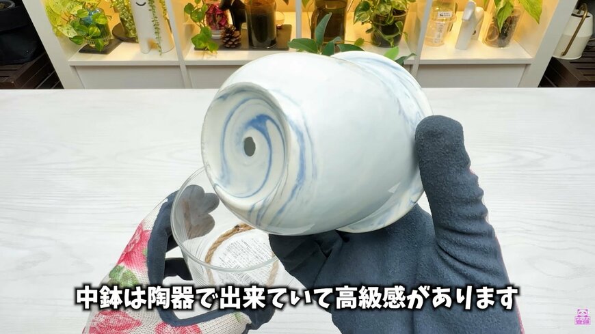 高級感が感じられるダイソー THREEPPYの底面吸水鉢・陶器＆ガラス製自動給水プランター」