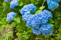 そろそろ年金振込通知書が届く時期。令和シニアの《国民年金・厚生年金》一人ひとり違う受給額、平均や個人差を見る