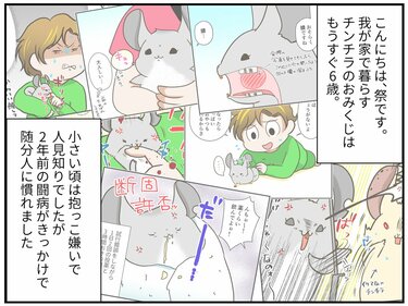 チンチライフ第185話】年を取るほどそうなる？ みんな一緒に