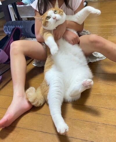 8年後の現在