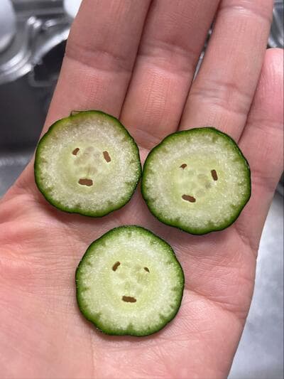 投稿の画像