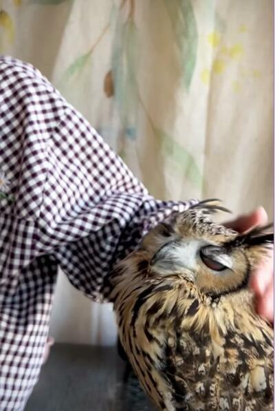 投稿動画のワンシーン