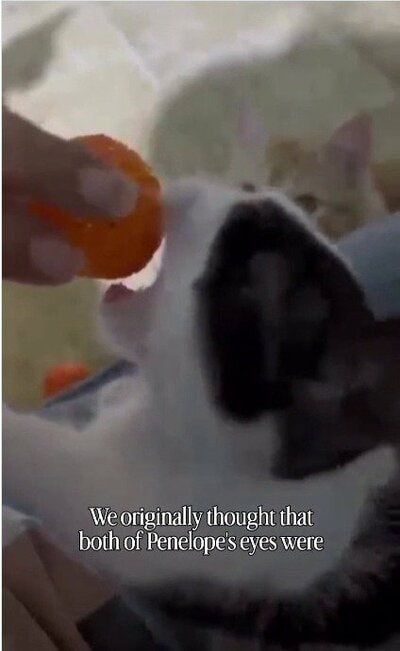 おやつを味わうペネロペちゃん