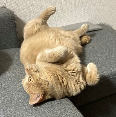 投稿の画像