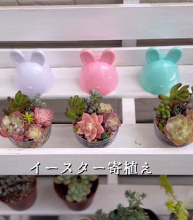 投稿の画像