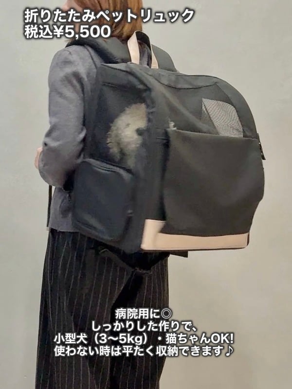 両手が開いていざというときもペットを守れる