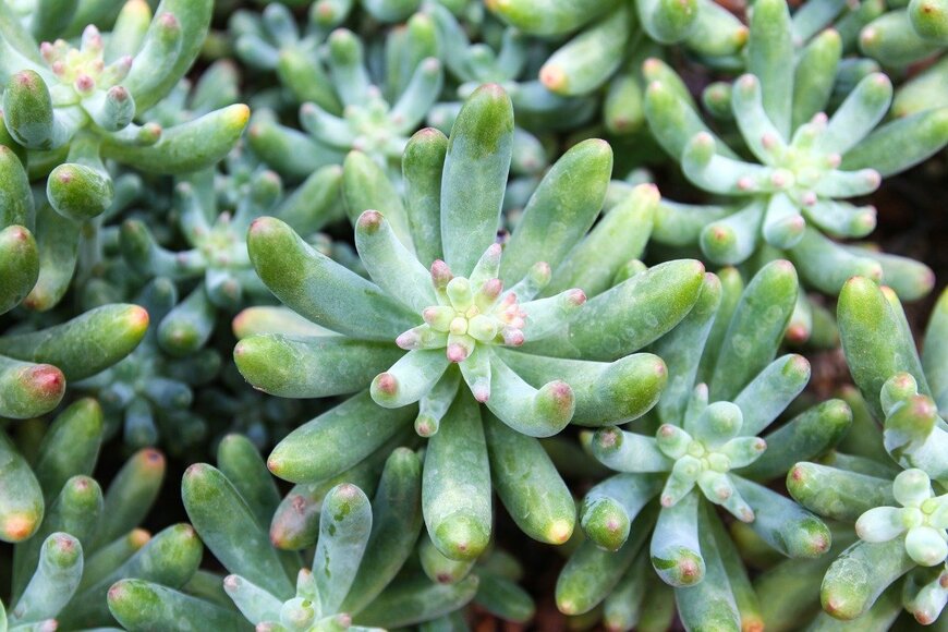 doraclub/istockphoto.com