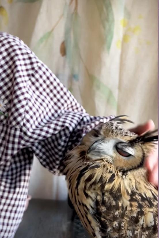 出所：@ba_chantolatte