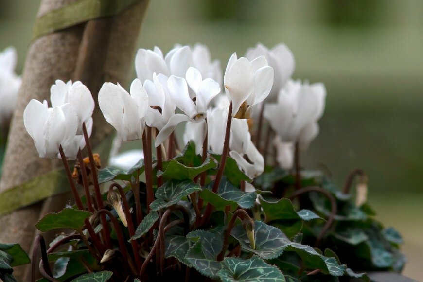 Freila/istockphoto.com