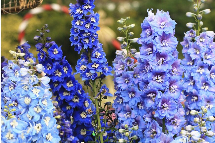 happykamill/istockphoto.com