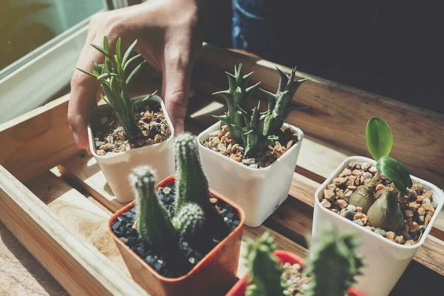 Gumpanat/Shutterstock.com