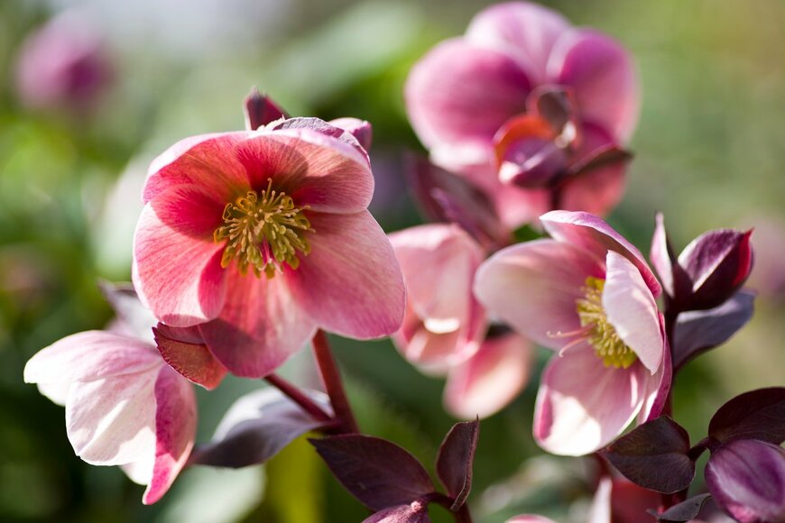 zzz555zzz/Shutterstock.com