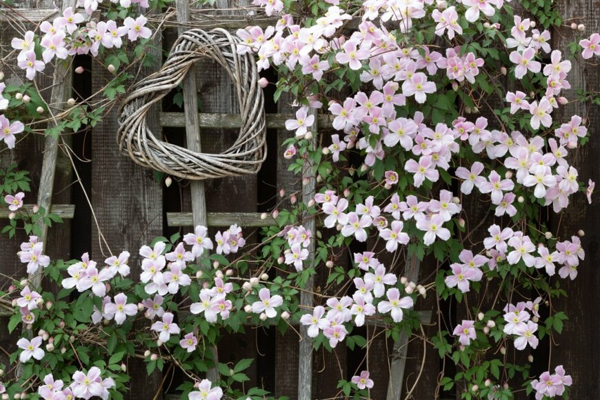 Natalia Greeske/shutterstock.com