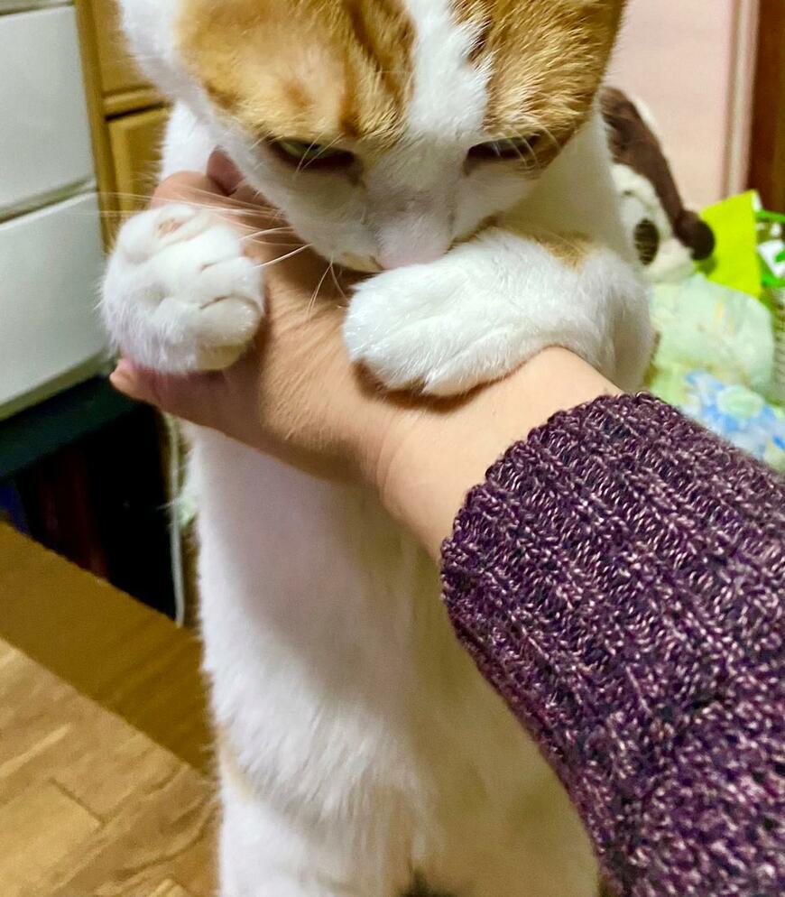 出所：@luna7taka9