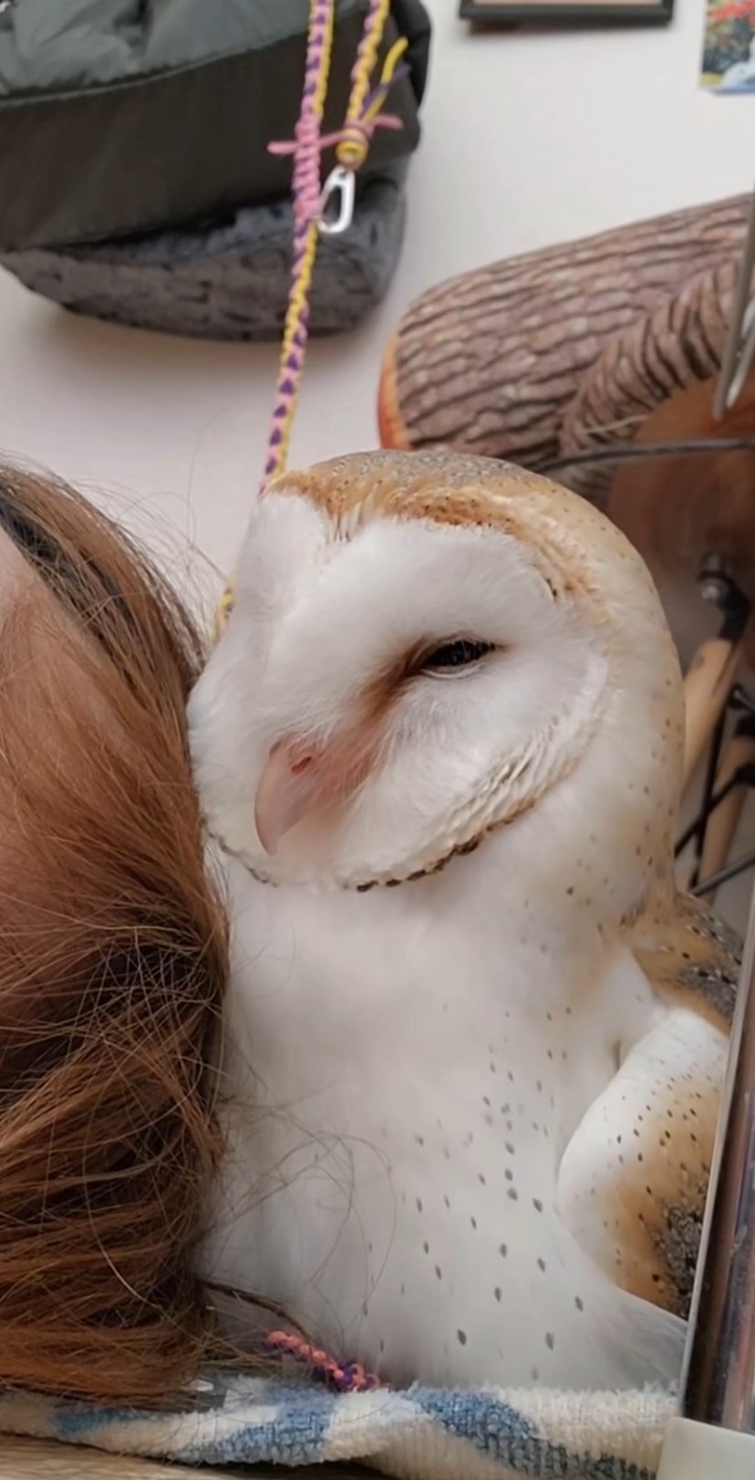 出所：@miki4wan108