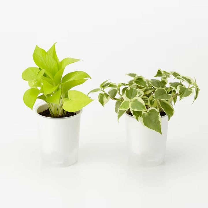 画像出所：無印良品公式オンラインストア