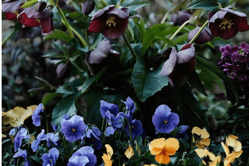 masaki matsuda/istockphoto.com