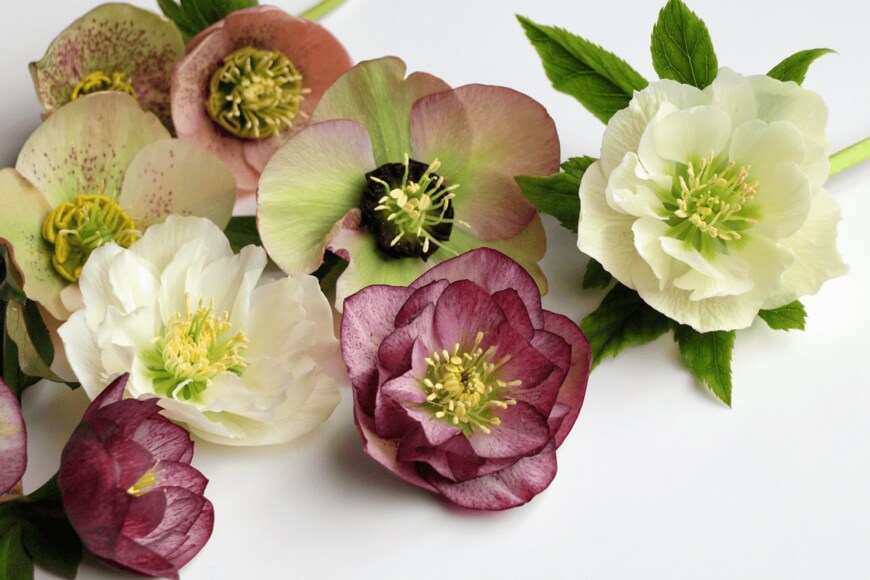 yuri-ss/shutterstock.com