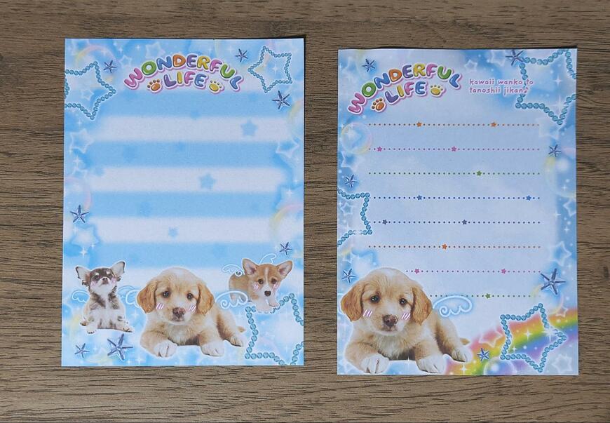 筆者撮影（セリア、メモ 50P 平成レトロ）