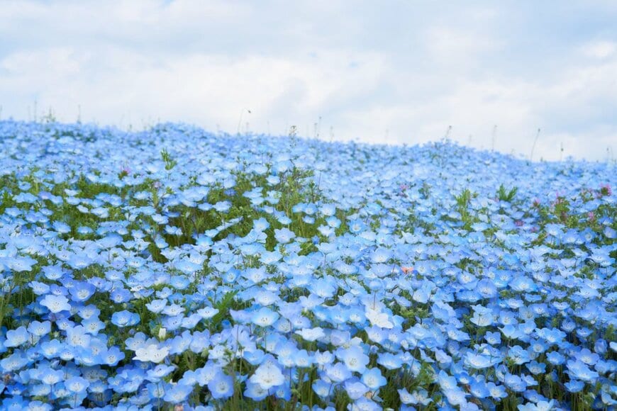 sssubinpark/shutterstock.com