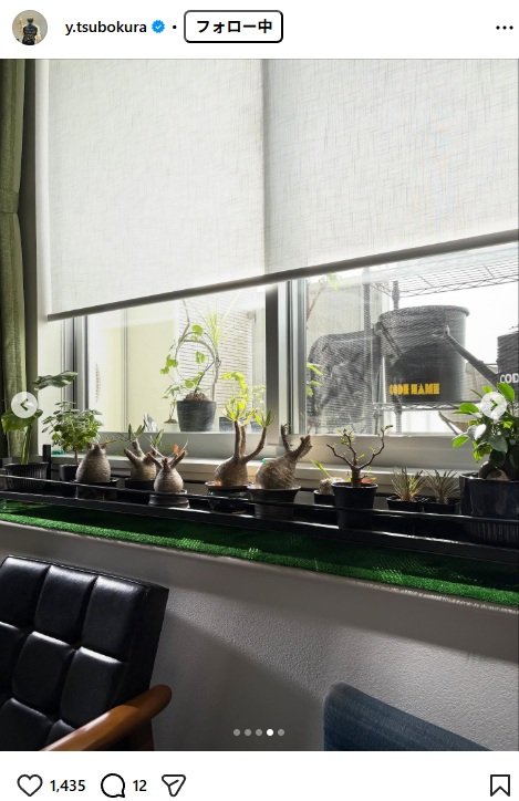 出所：坪倉由幸のInstagram（＠y.tsubokura）参照日：2025年11月7日