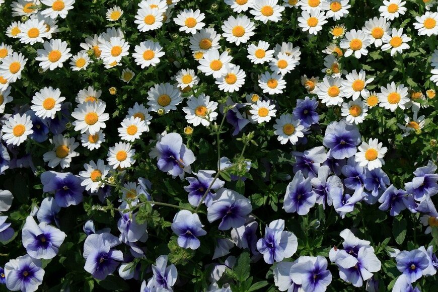 gyro/istockphoto.com