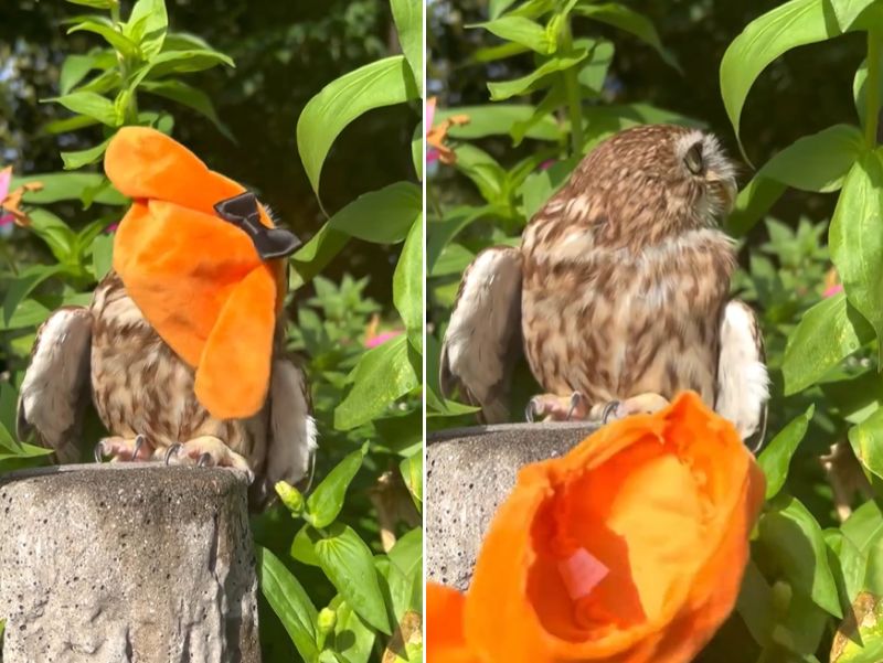 出所：@cr8673.hiro