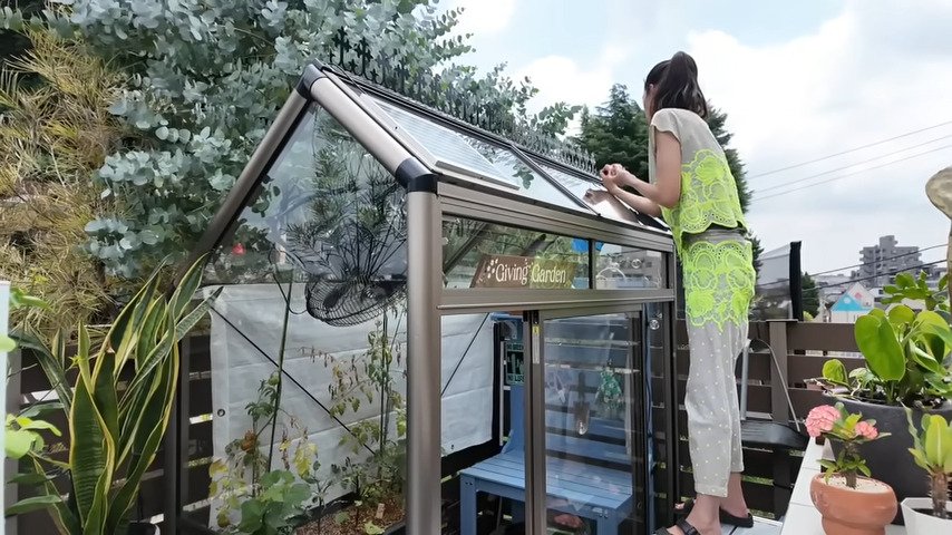 出所：森泉のYouTube（@IZOOMIChannel）参照日：2025年7月11日