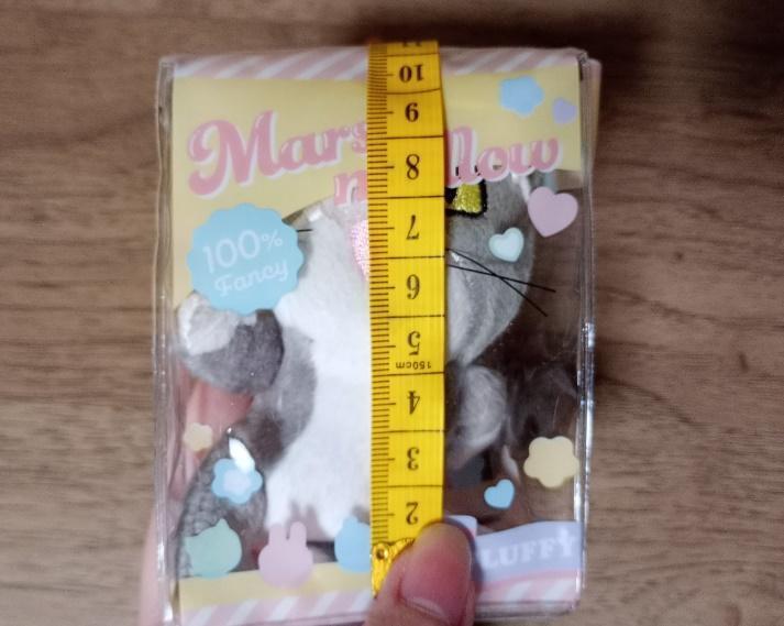 出所：筆者撮影（セリア、ドールポーチ ケース スイーツ）