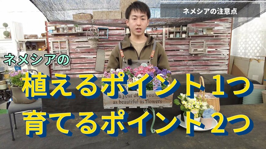 出所：@petit_fleur