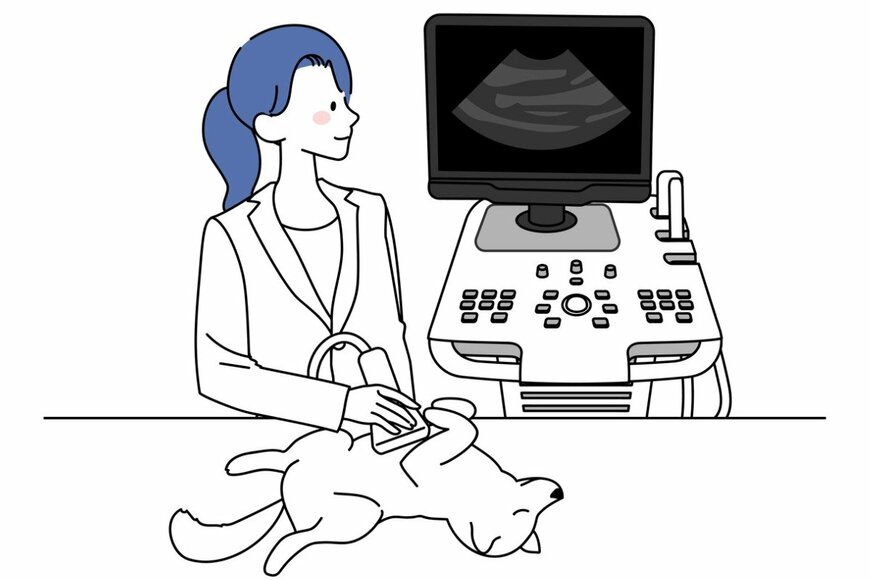 matsuriri/istockphoto.com