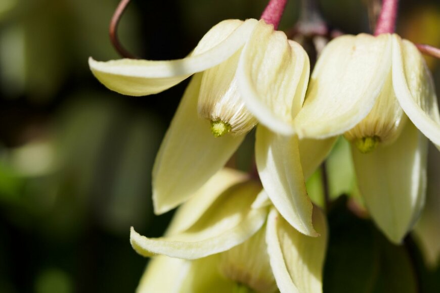 F_studio/shutterstock.com