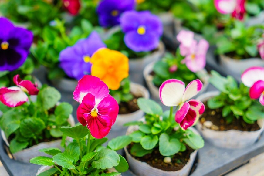 Jannoon028/istockphoto.com