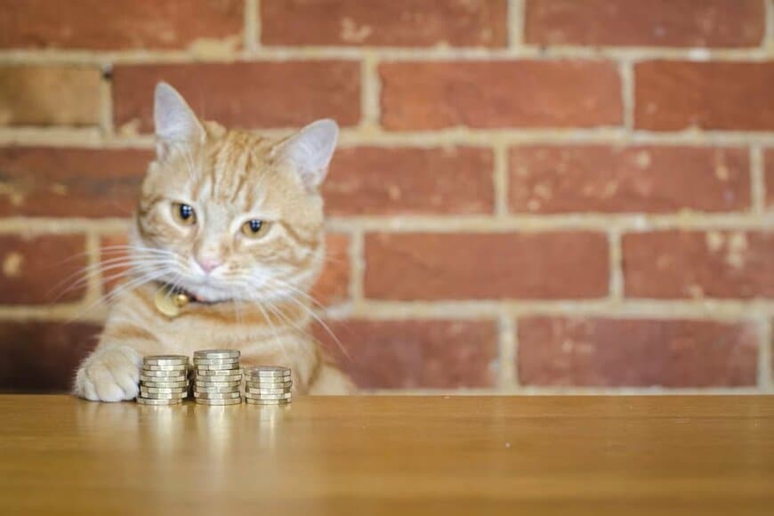 William Barton/shutterstock.com