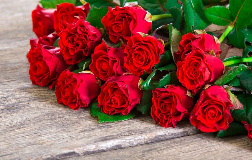                                                                 LiskaM/shutterstock.com