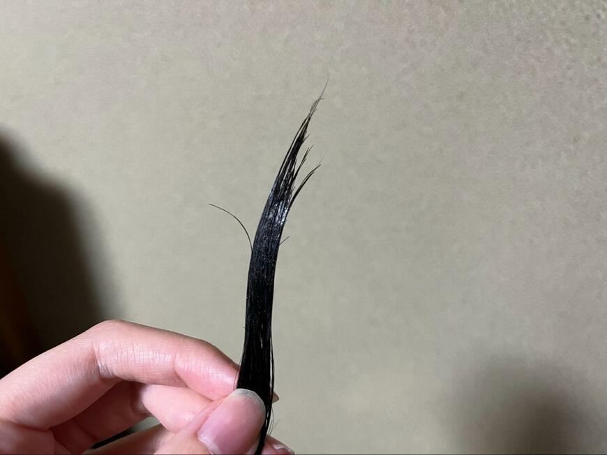 筆者検証画像
